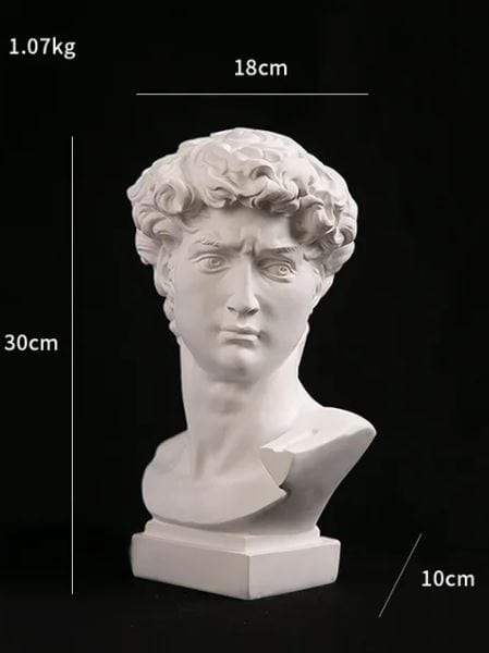 Luxury Michelangelo's "David" Head Statue: Modern Abstract Art for Home Decor