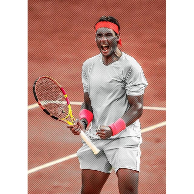 SKU-17 / 30X40cm no frame Modern World Tennis Wall Art Rafael Nadal Roger Federer Oil On Canvas Posters And Prints Living Room Bedroom Decoration Gifts